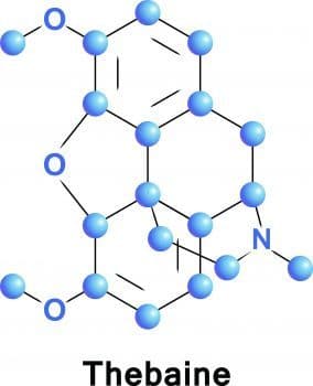 Thebaine's Chemical Structure Is Somewhat Different Than That Of Other Opioids, Which Is Why It's Effects Are Different